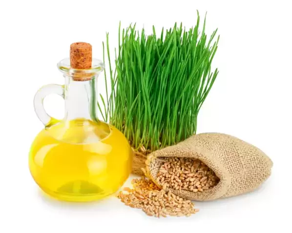 O aceite de xerme de trigo como parte do Eudalie -cream